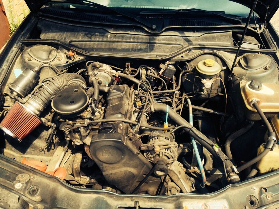 Фотография взята с поисковика Яндекс. 