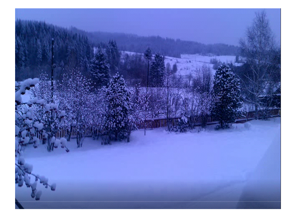           Фото автора. Вид из окна  моей школы