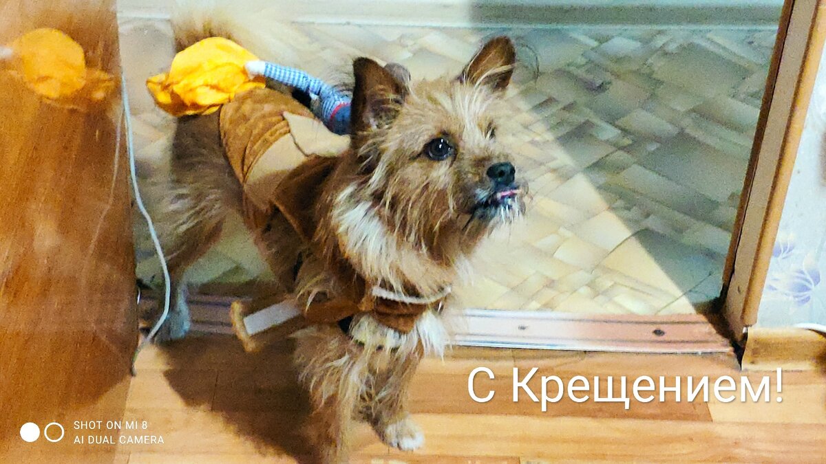 К крещенским морозам готов!