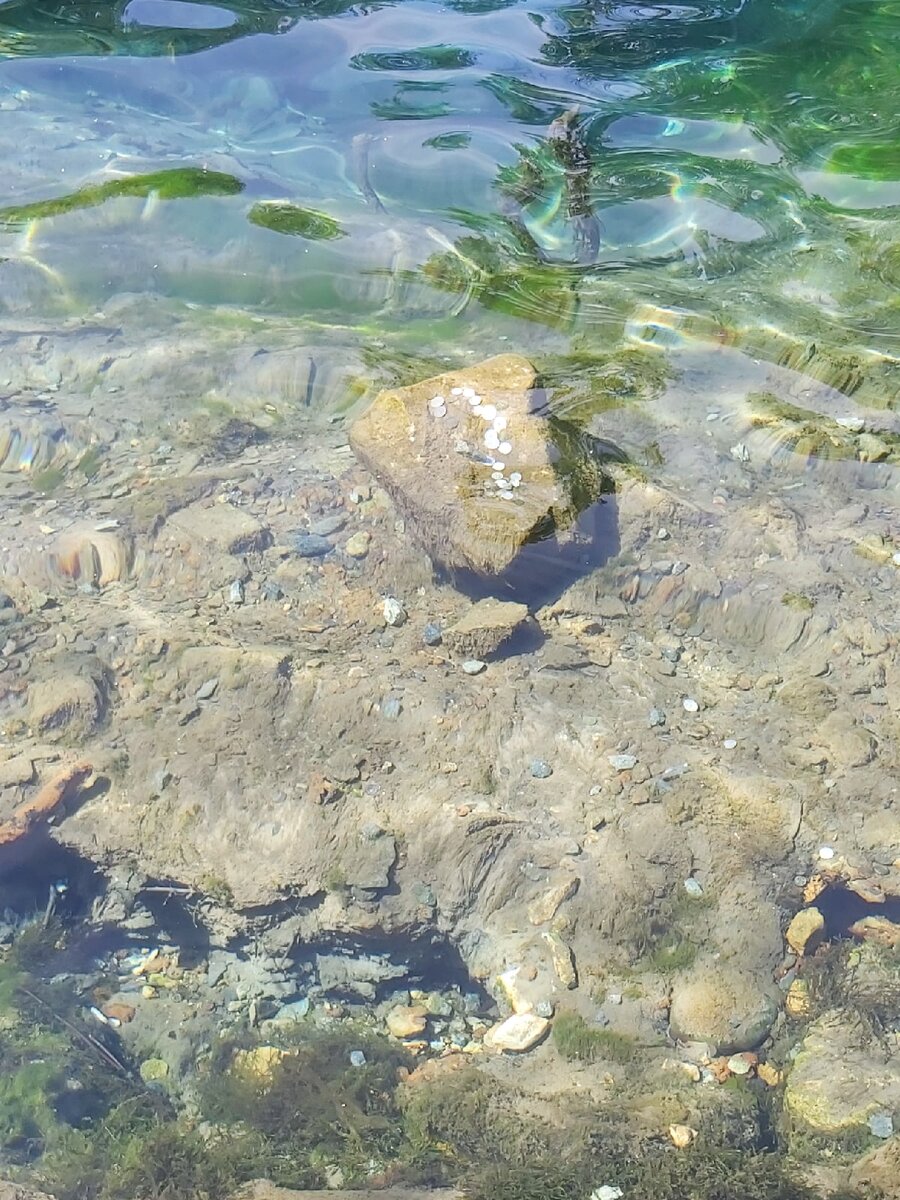 Вода в Голубом озере чистейшая. Фото автора статьи