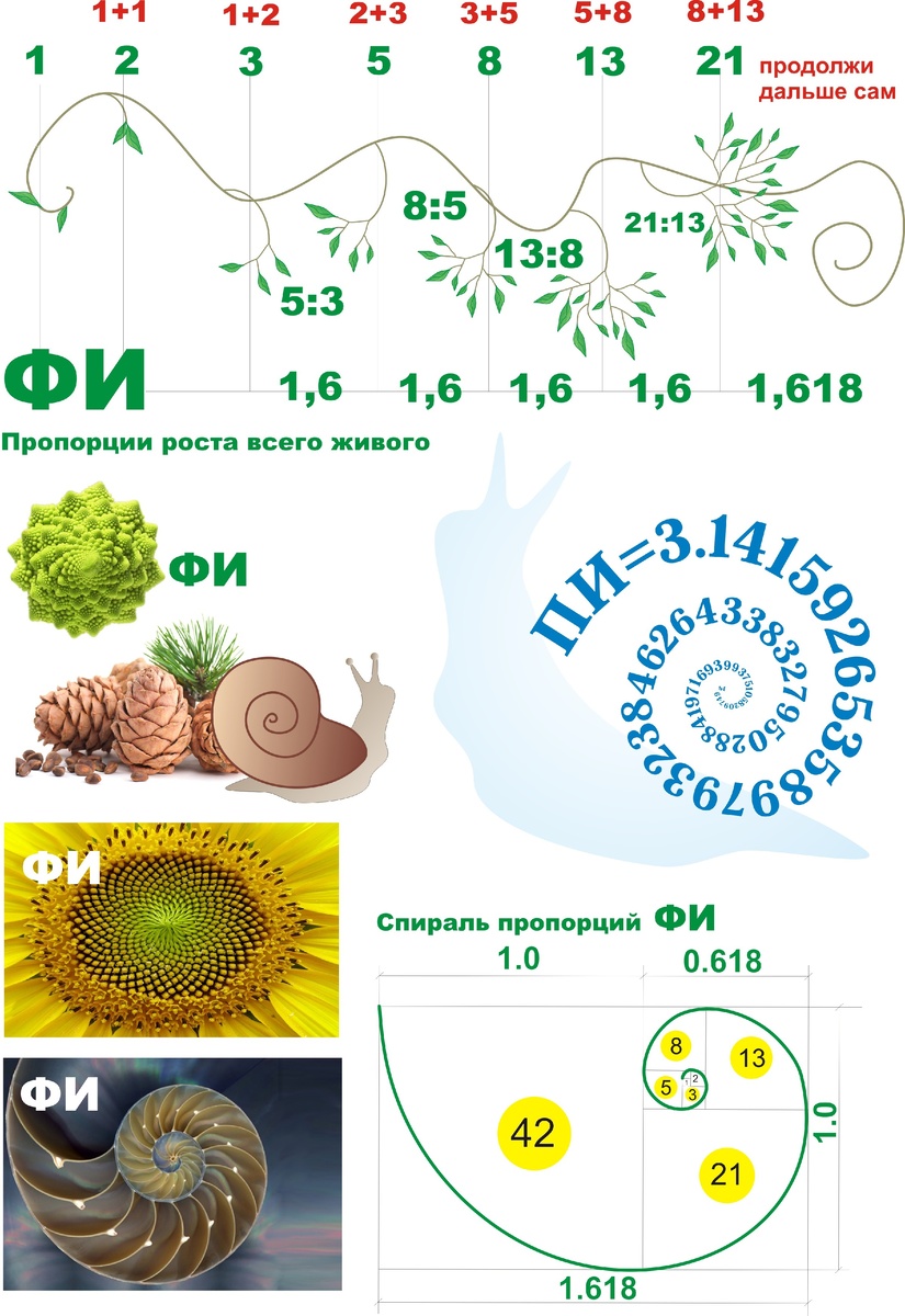 рисунок автора