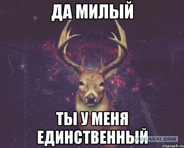 фото из интернета