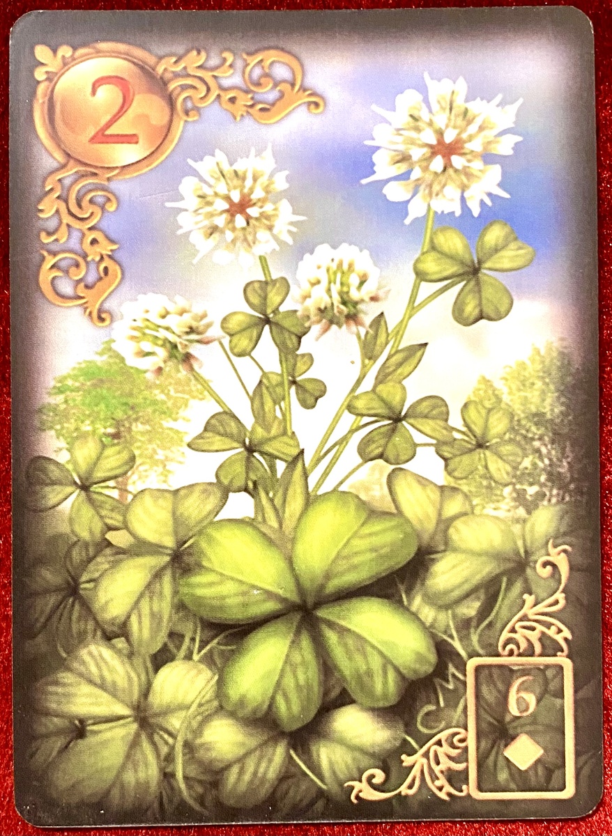 Первая карта