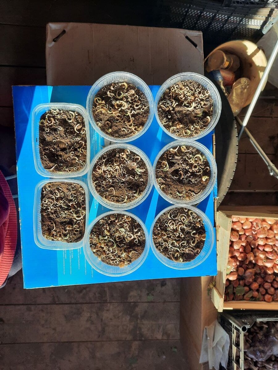 здесь показала как просто всё сделала