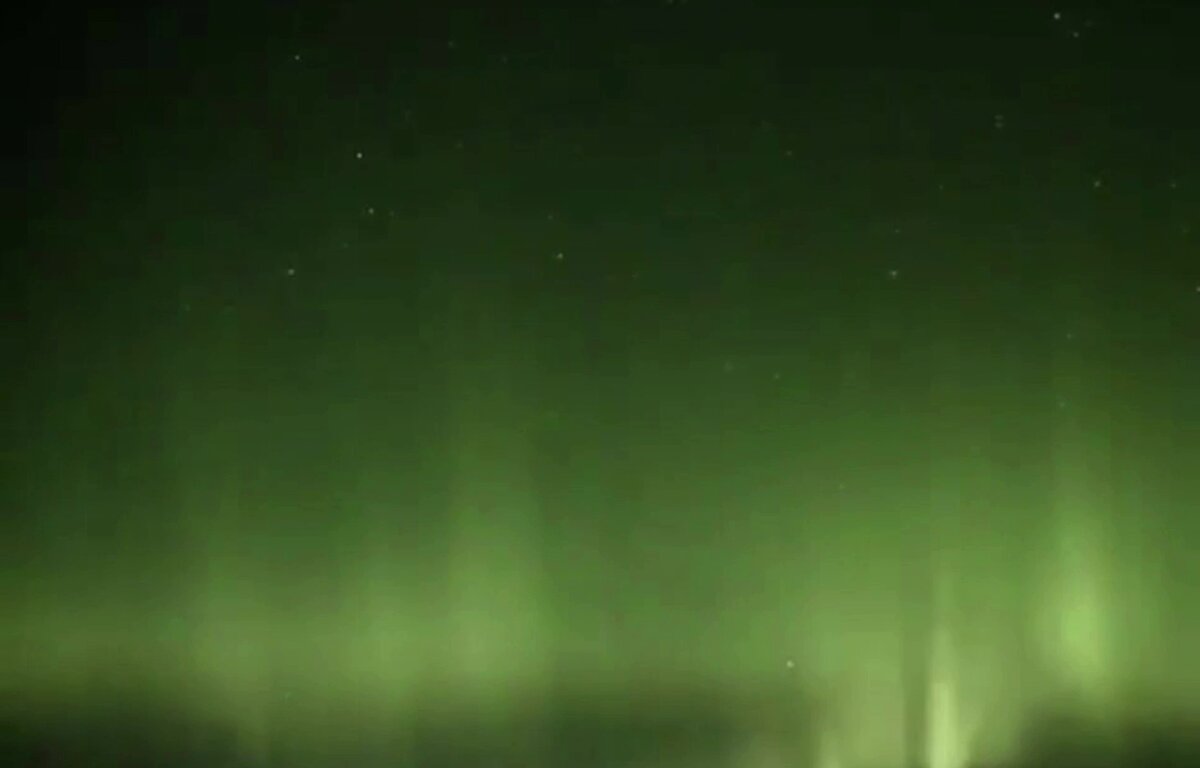 Фото: скрин с видео Ильи Янковского