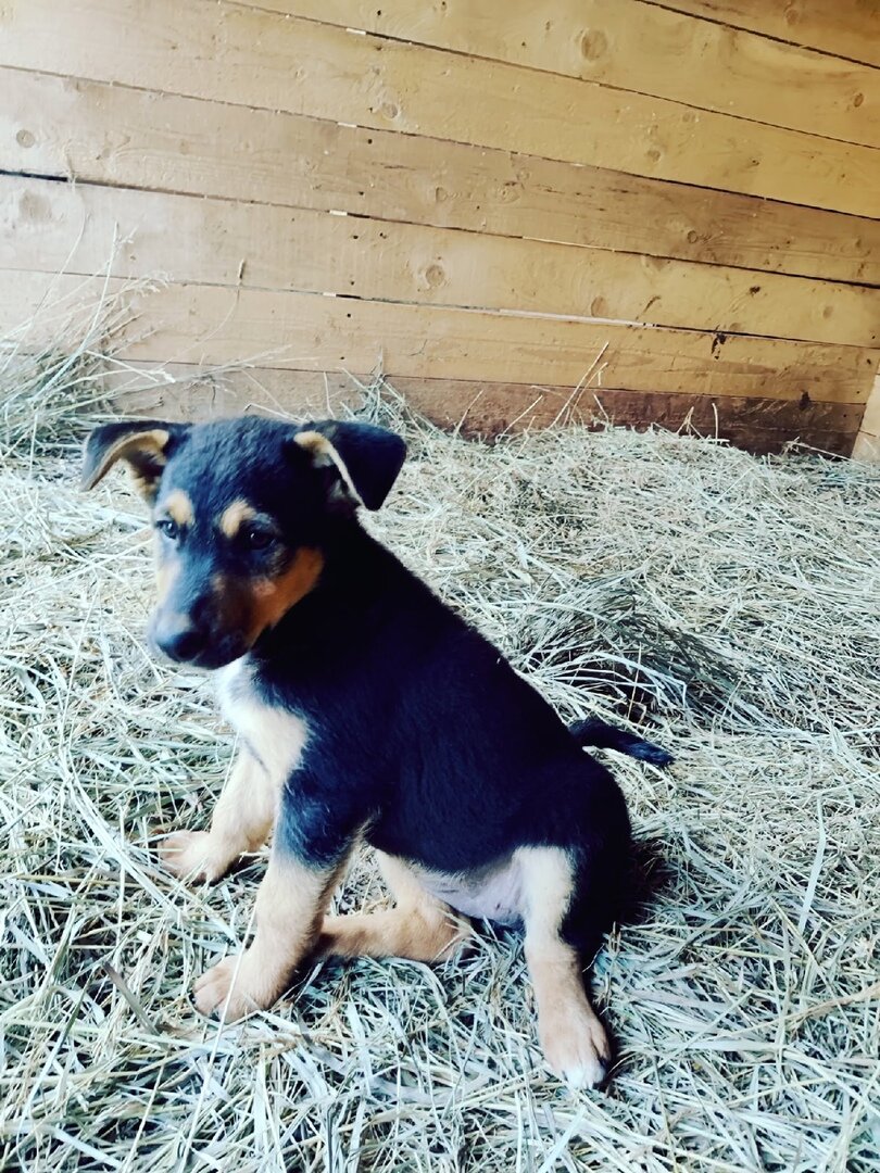 малыши из гаражей