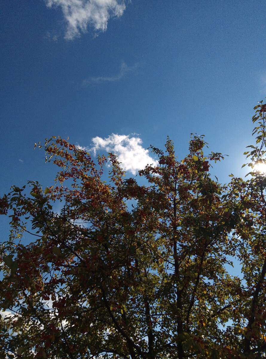 Чистого вам неба. Фото автора