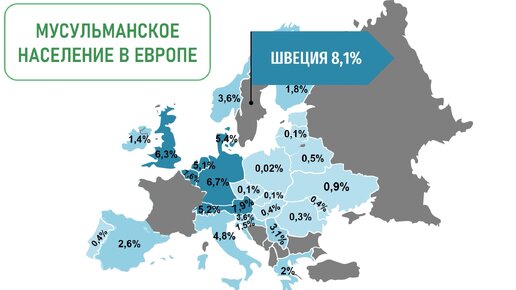 Сколько мусульман живет в странах Европы