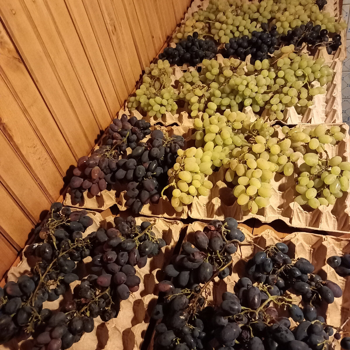 Как хранить виноград в холодильнике и в домашних условиях - условия и сроки