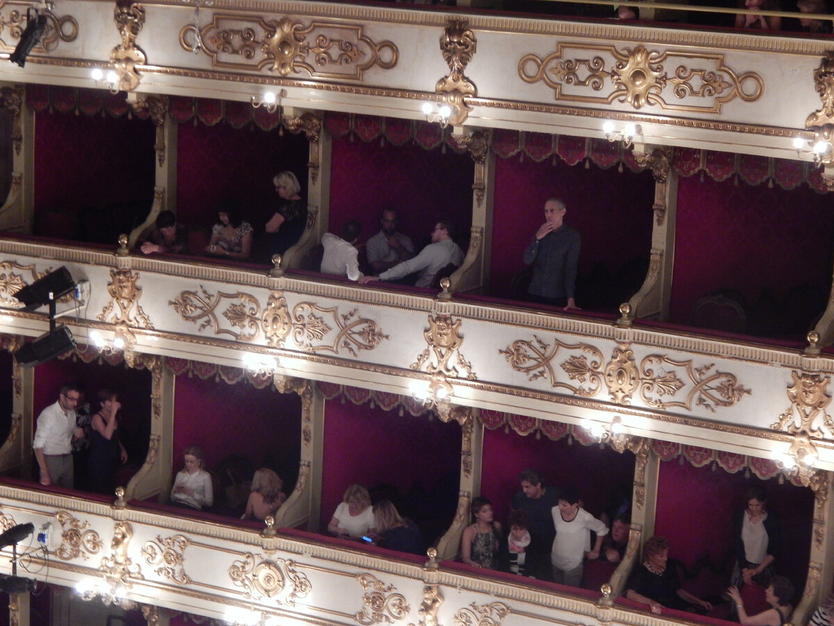 Зал Пармской оперы. Фото сделано мною в июне 2015 года