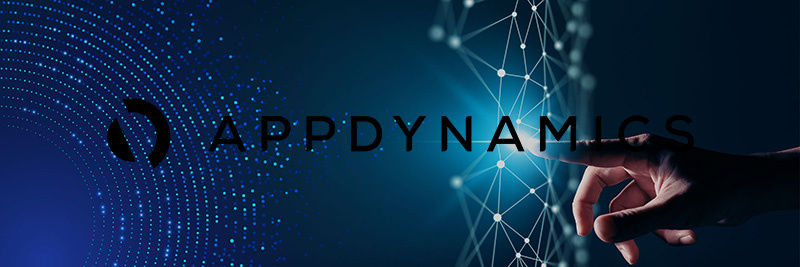 AppDynamics выпустила Agents of Transformation 2021.