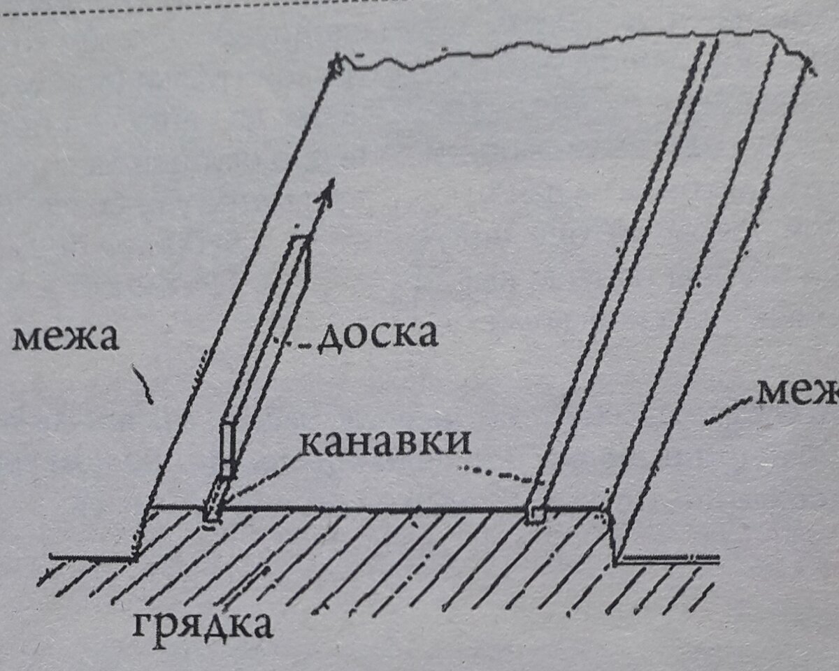 Нарезание канавок для посева огурцов.