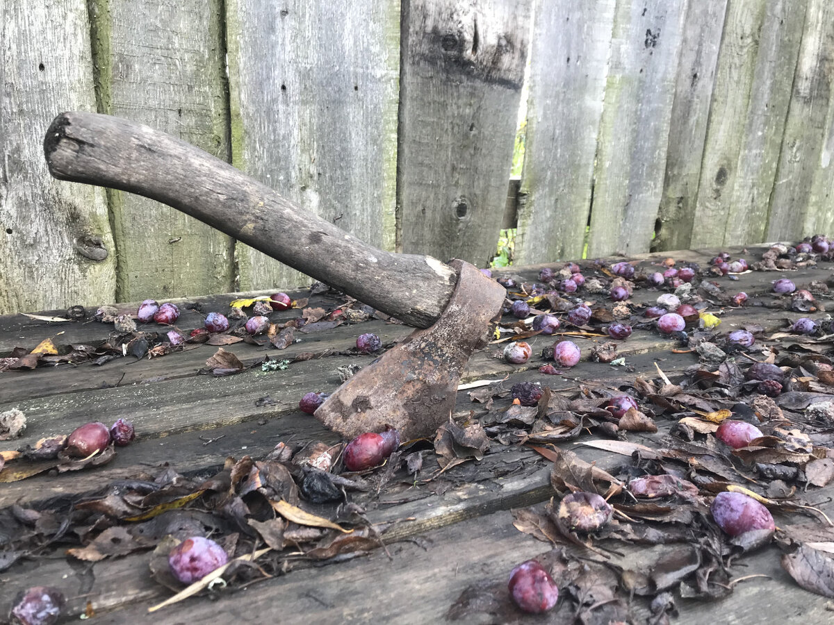 Вся мужская работа была на хрупких женских плечах