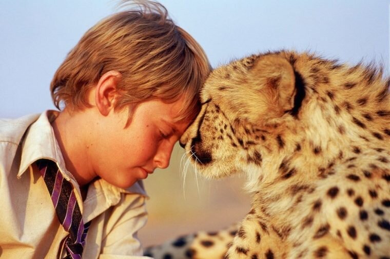 Мысли о свободе