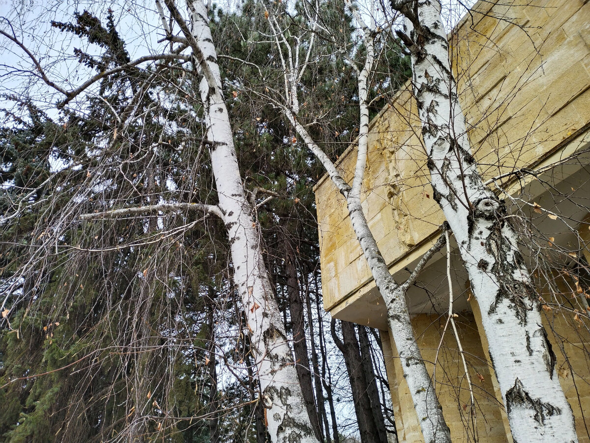 Территория была очень зеленой. Фото автора