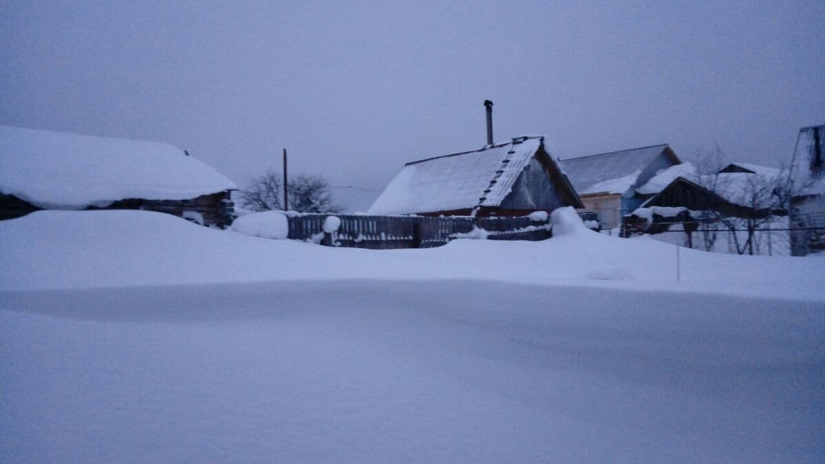 Фото автора.