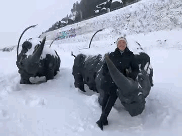 Шерстистые носороги и автор.