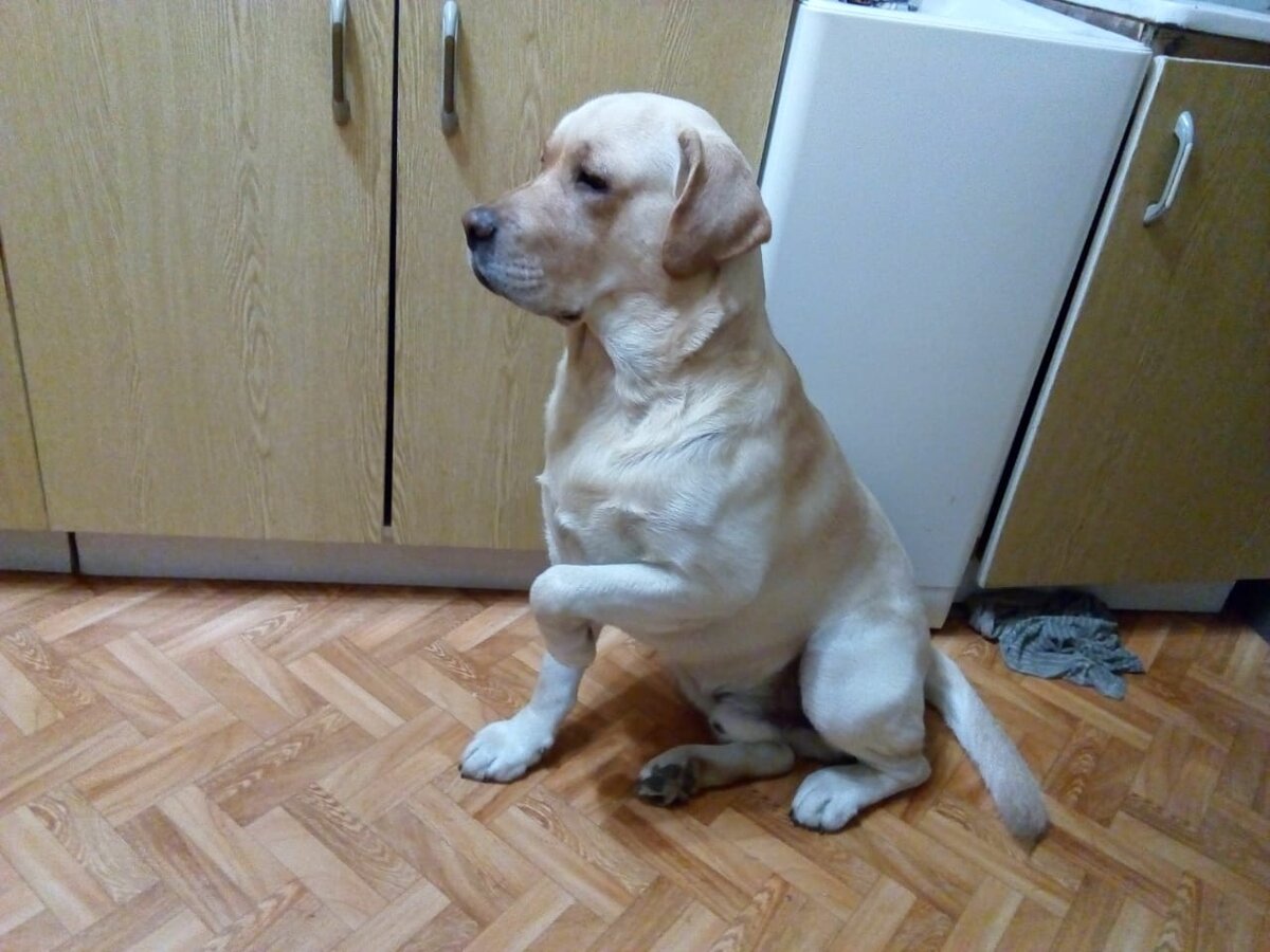 перед отъездом