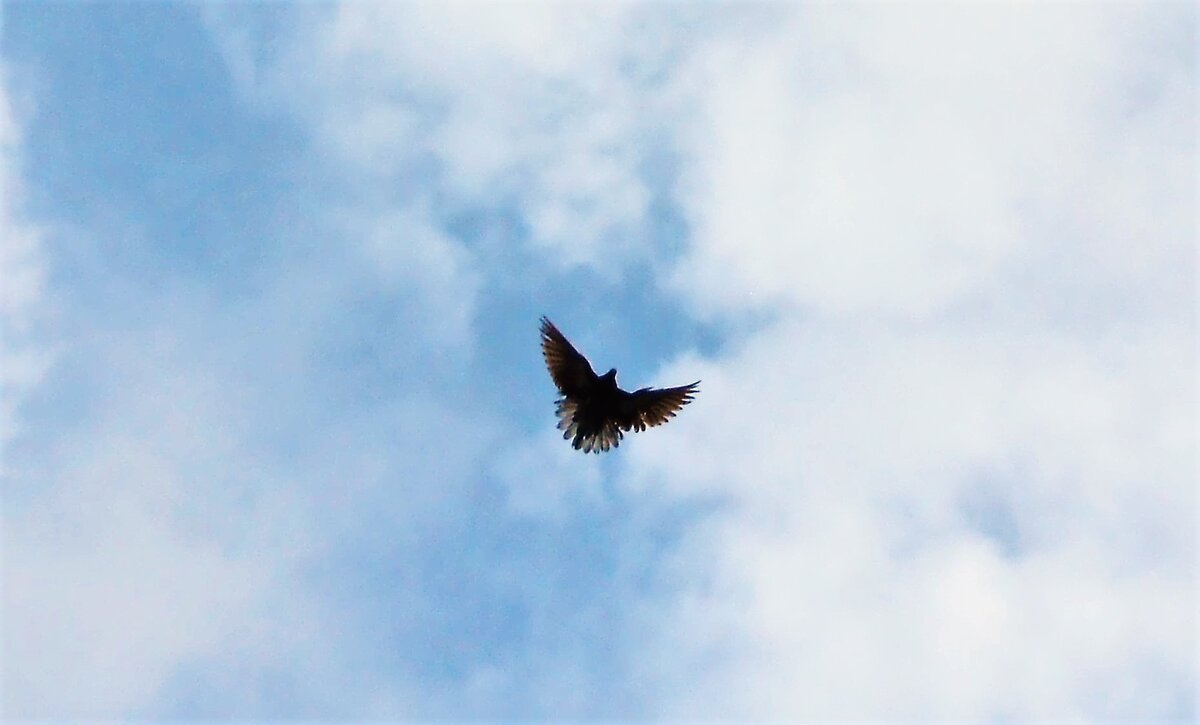 фотография из личного архива