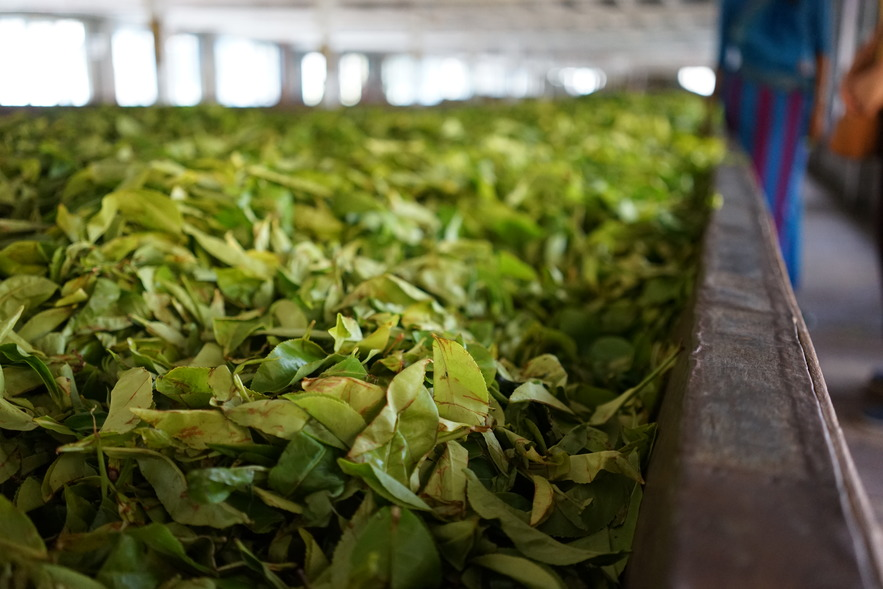 Производство чая