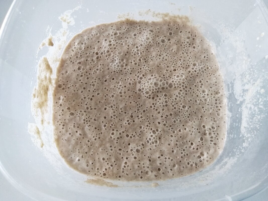 Забродившая опара
