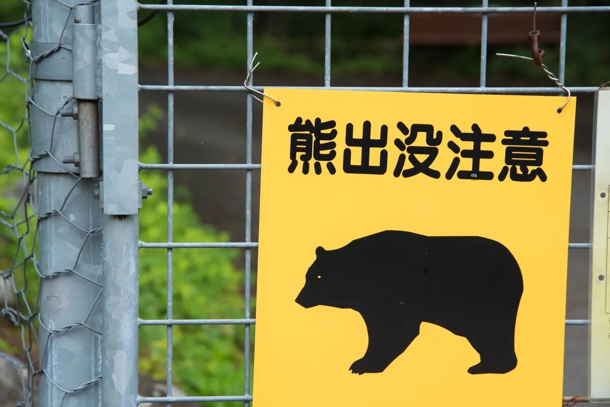 Японец как зверь пробрался в его дом, надрал медведю зад после того.
