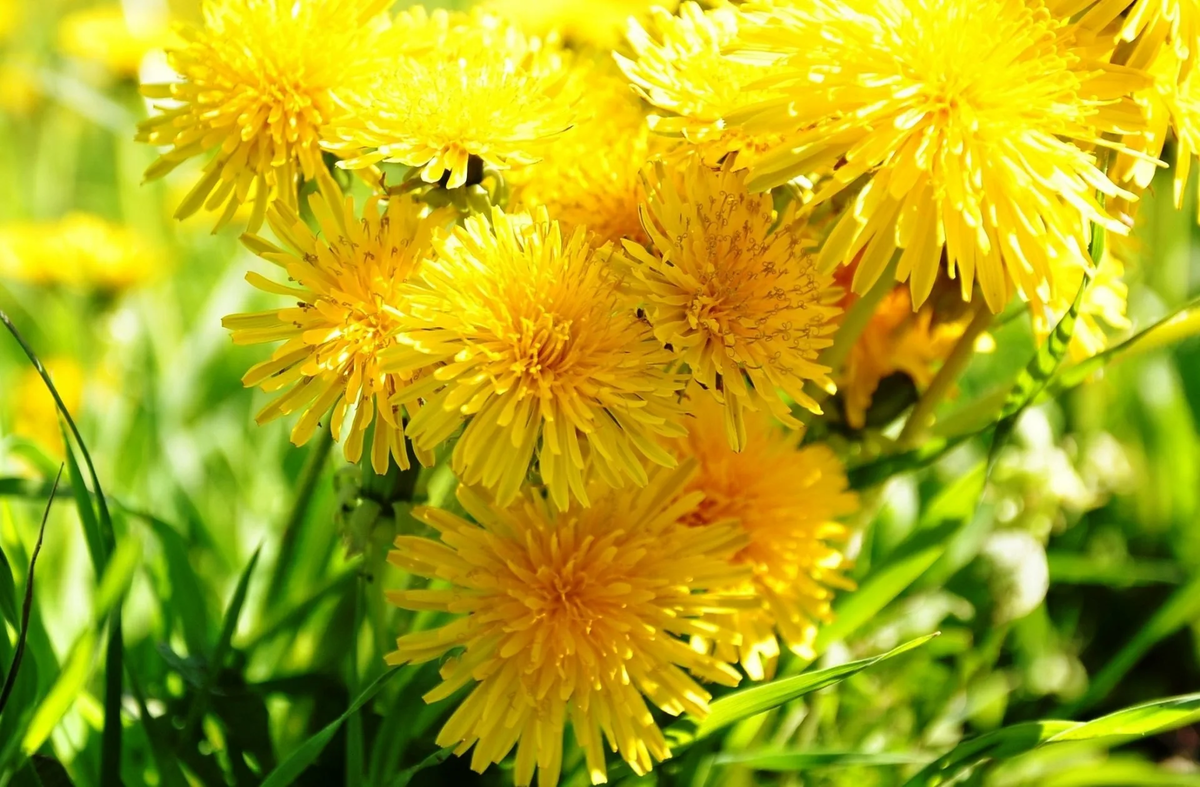 Фото из интернета