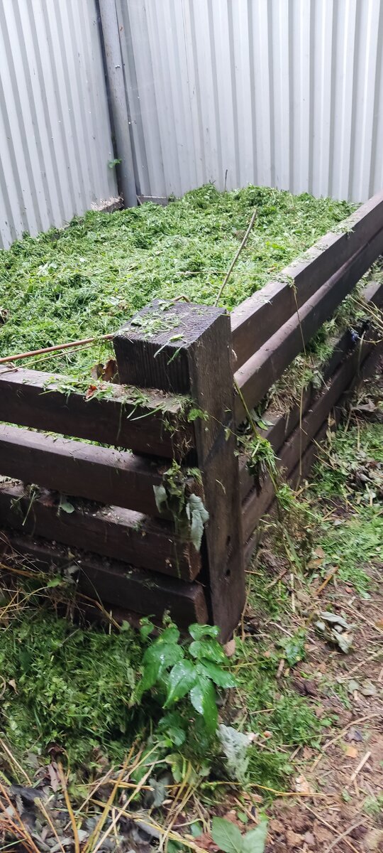 Компост я делаю слоями. Слой травы на слой перепревшего навоза с соломенной подстилкой. На следующий год, компост уже можно будет использовать по назначению. 