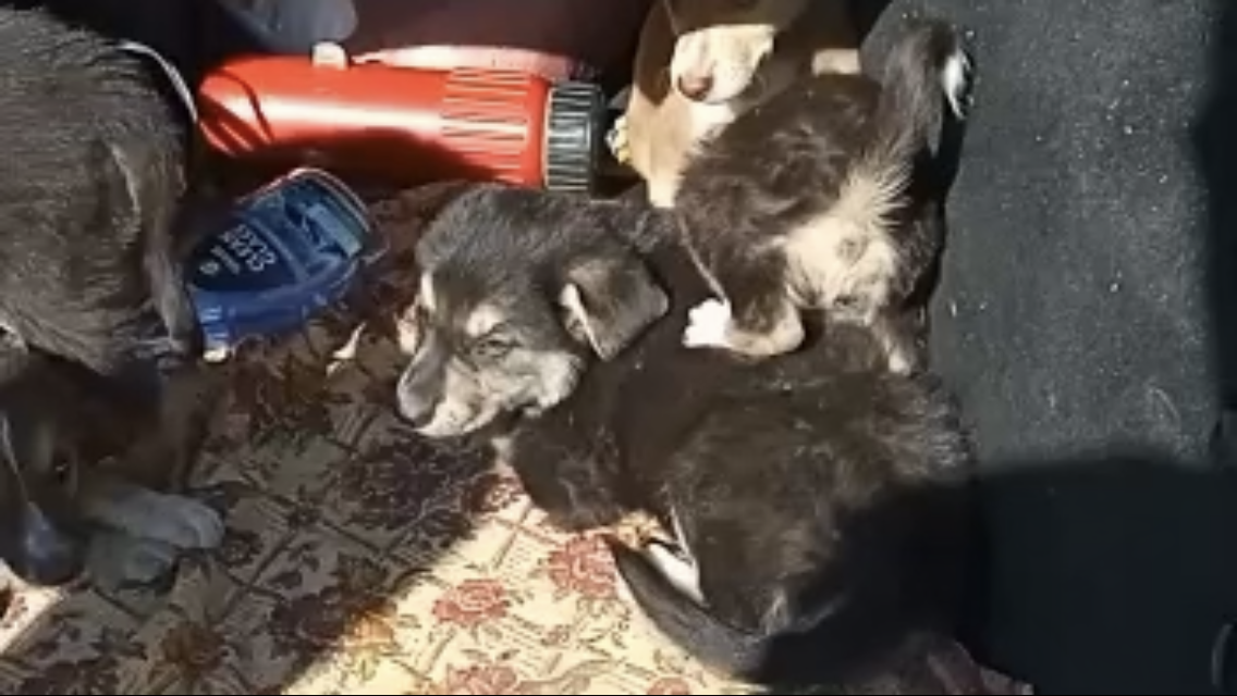 -2-3