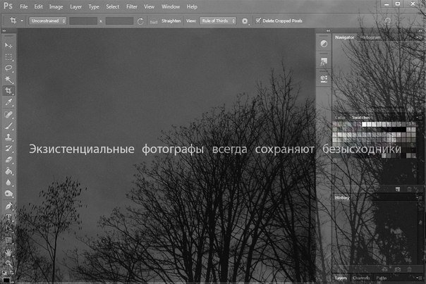 фото из открытых источников интернет