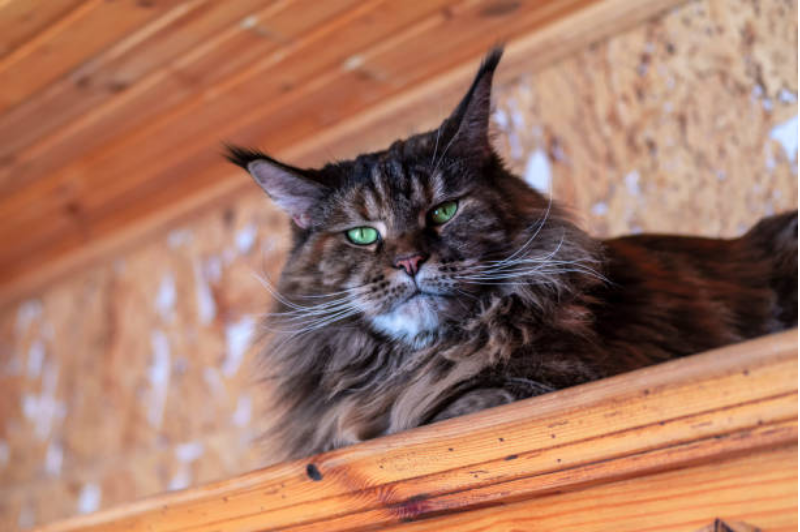 Очень уж строго смотрит: Istockphoto.com