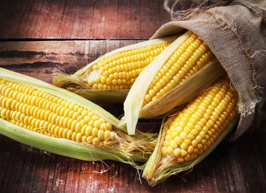 Кукуруза является одновременно овощем, зерном и фруктом. Плод получается из растения, содержащего семя. Для кукурузы семена ядра используются для попкорна, и это делает его фруктом по определению. Овощ-это любая часть растения, которую можно использовать в пищу, и поэтому употребление кукурузы можно считать овощем.