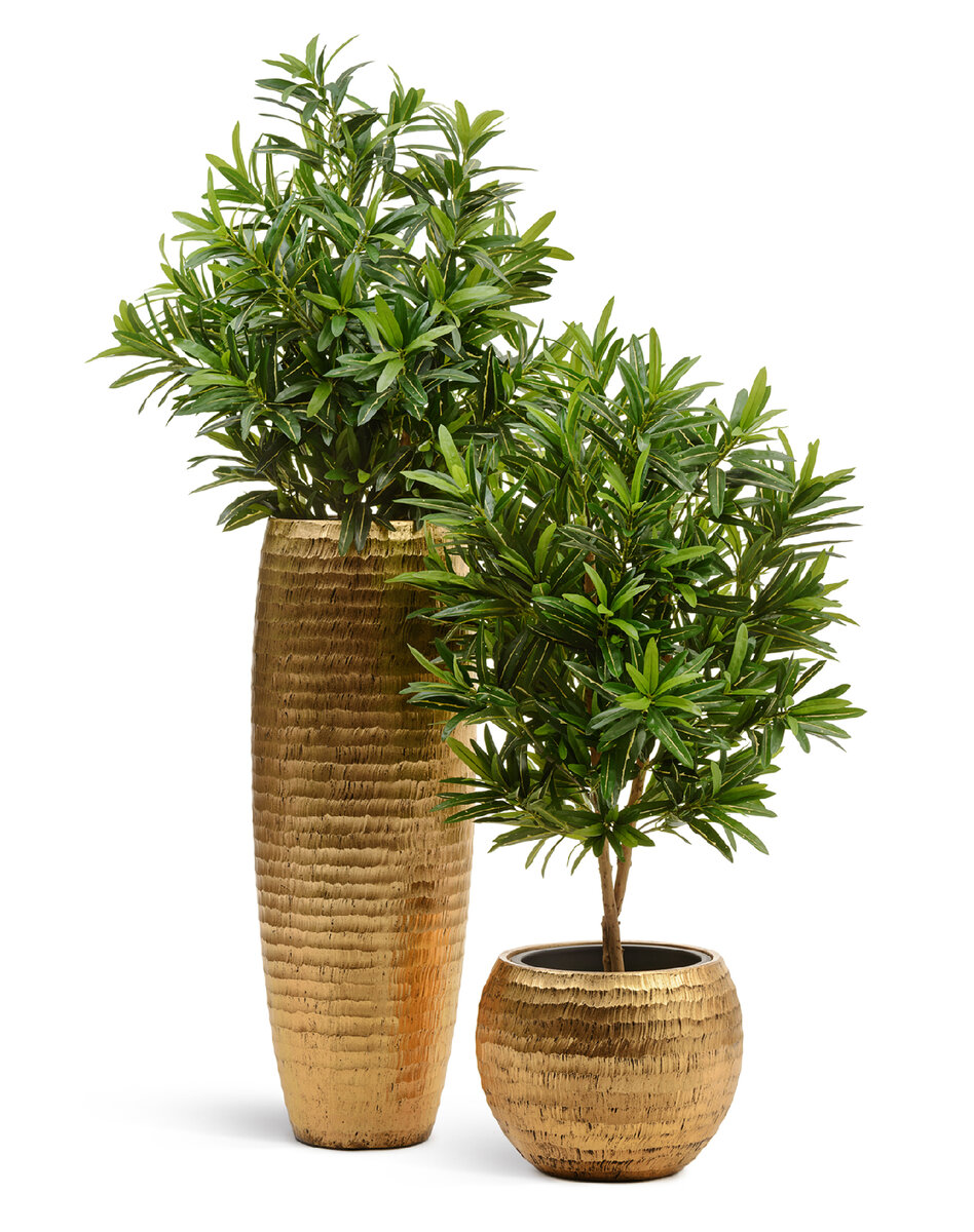 Золотые кашпо Treez Effectory с растениями Treez