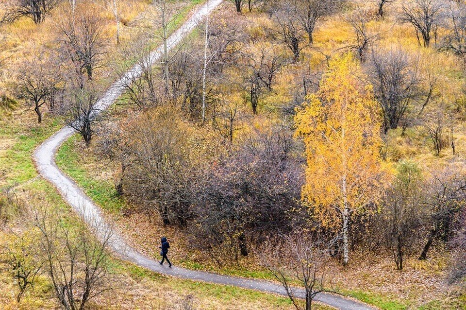     Мужчина выслушал приговор за грабеж в парке «Динамо» в Хабаровске Михаил ФРОЛОВ