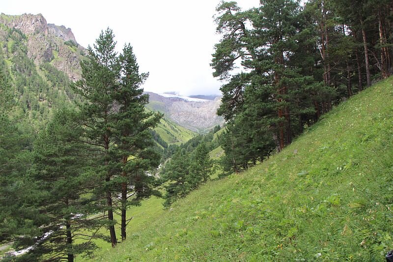 Ущелье Терскол. Вид сверху. Внизу течет река Терскол, а в конце ущелья на скале виден ледник Терскол.