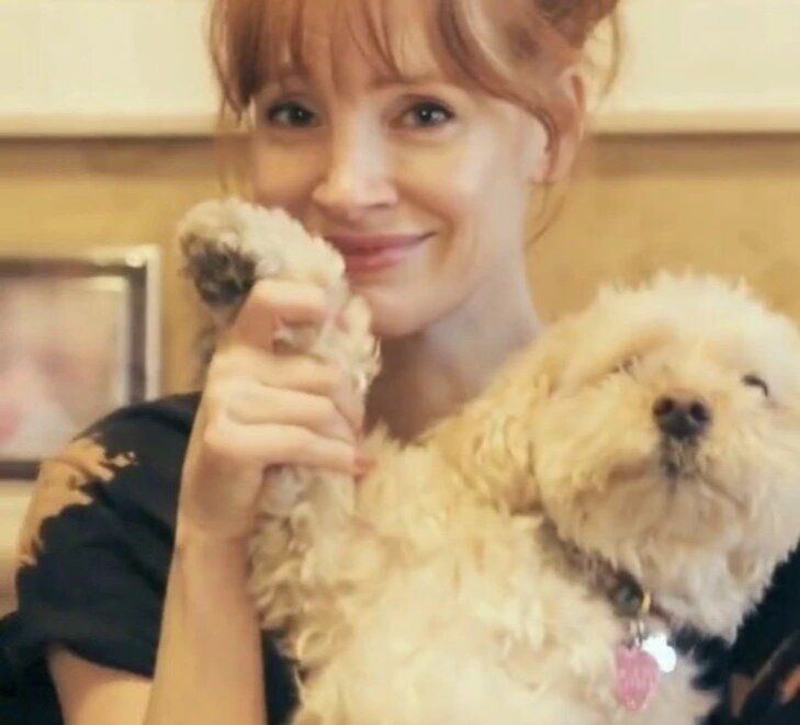 Актриса назвала питомца в честь актёра Чарли Чаплина