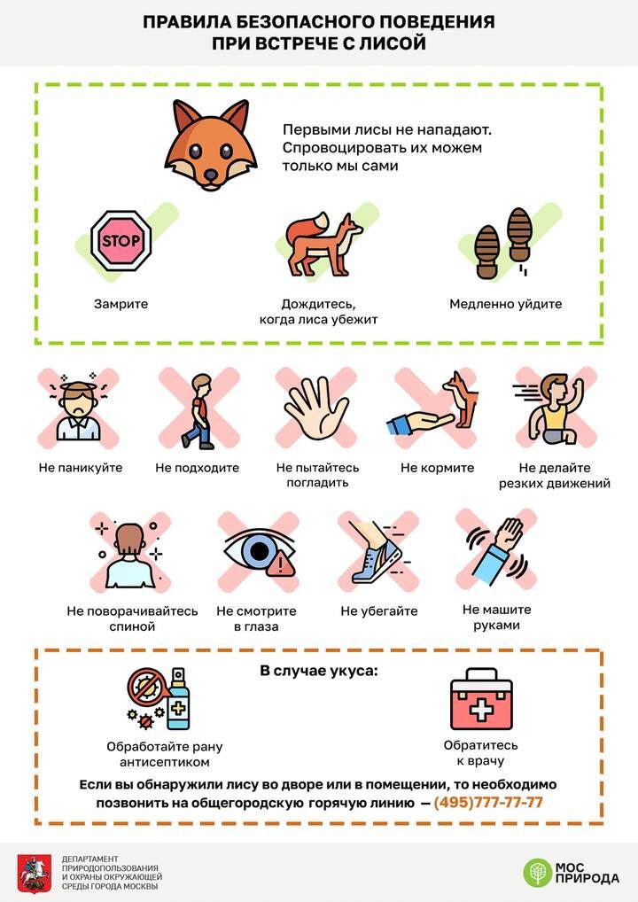  Фото: Официальный сайт мэра Москвы