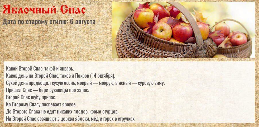 Изображение взято из Интернета)