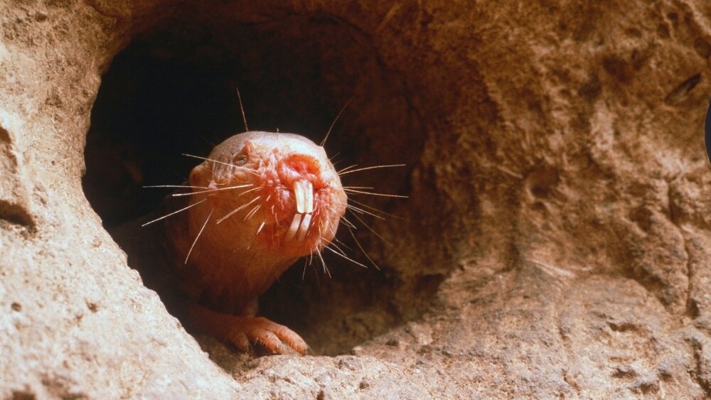    Фото: Shutterstock