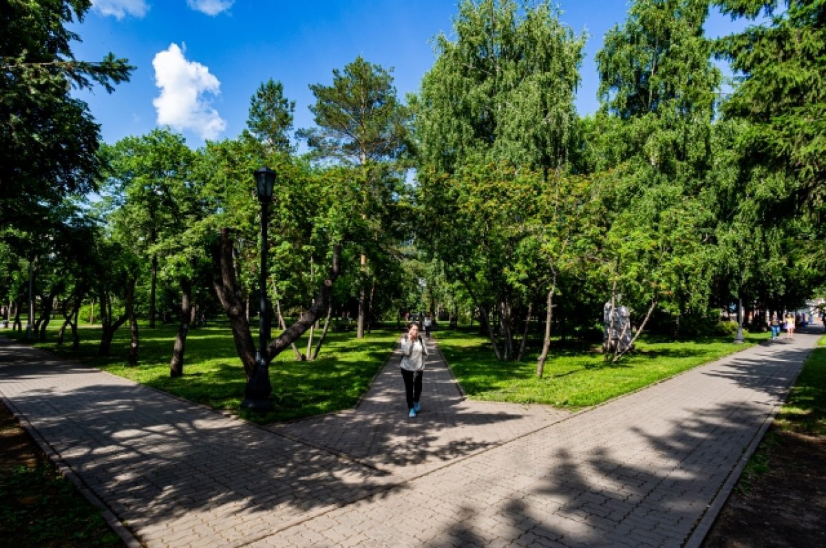    В Новосибирске собственник здания Park cafe сам снесет ресторан