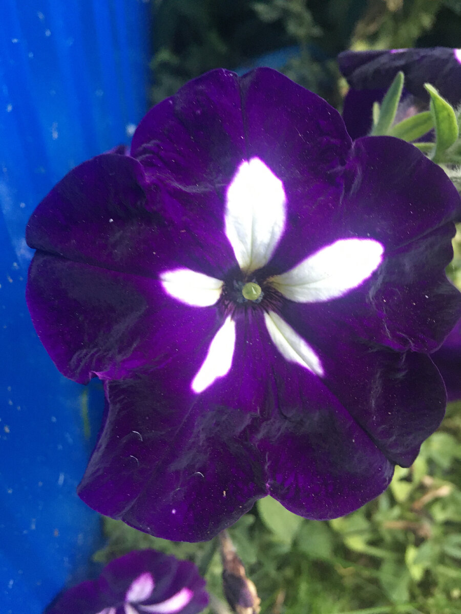 Необычный, оригинальный!