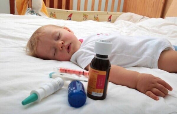 Фото vseglisty.ru  📷
