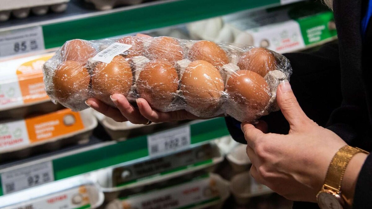 Источник фото: РИА Новости Крым. Дмитрий Макеев