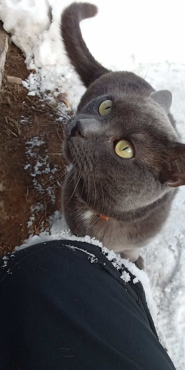 А я думал, что в Тайге! 