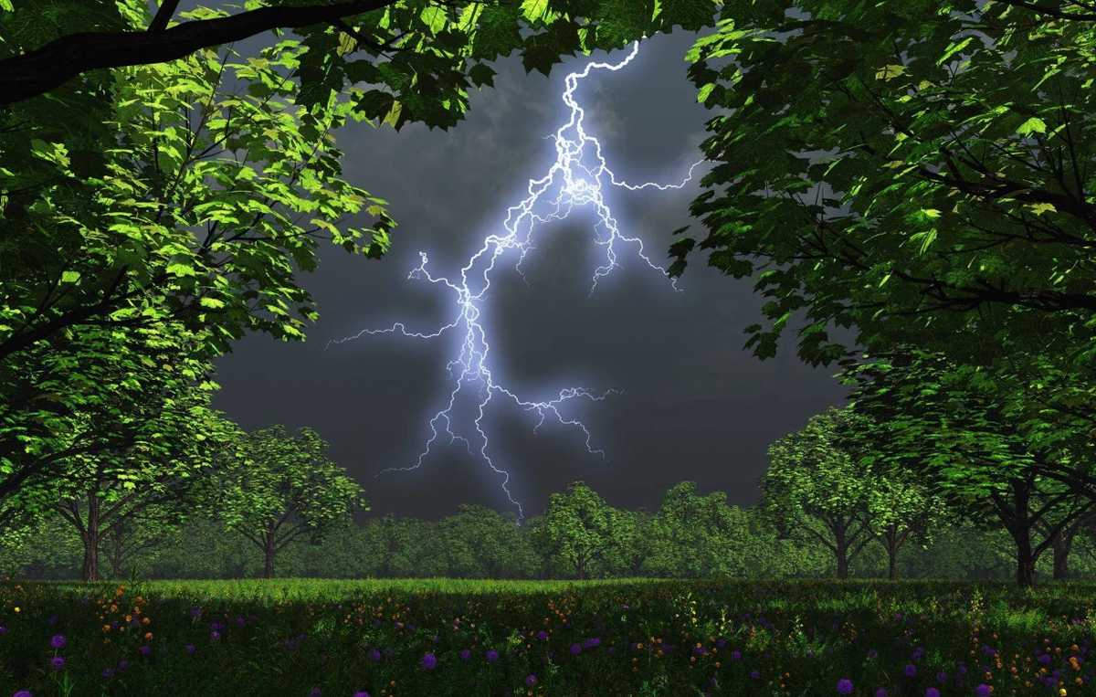 Яндекс картинки