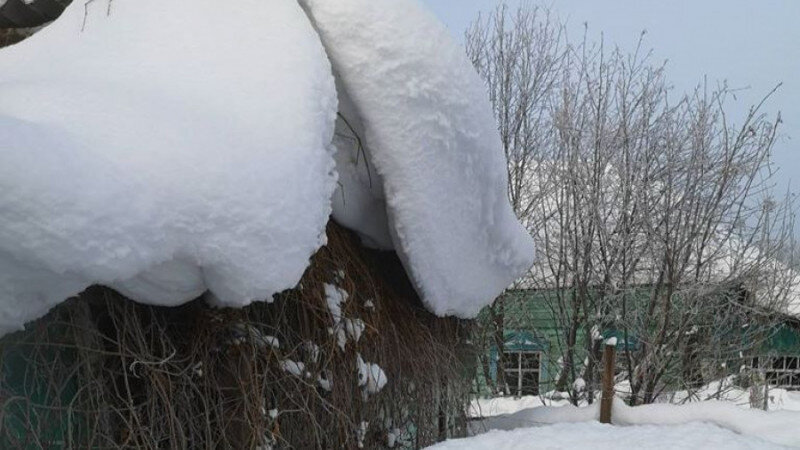     Снег в алтайском селе. Много снега. altapress.ru