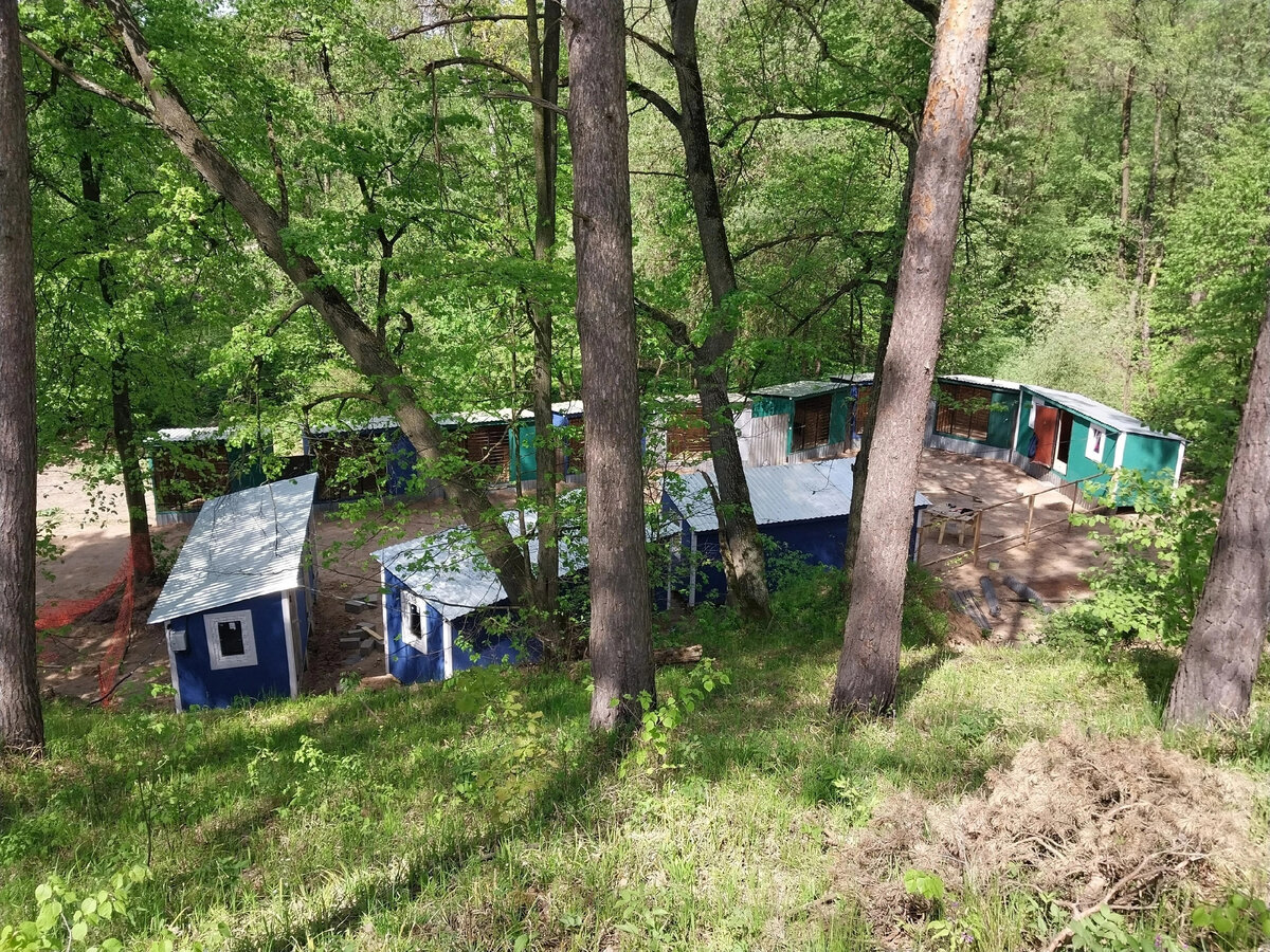 Пункт временной передержки для животных