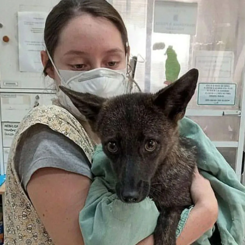 Держи крепче! Я такая единственная и неповторимая! 