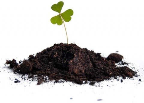  Фото с примером земельного грунта.