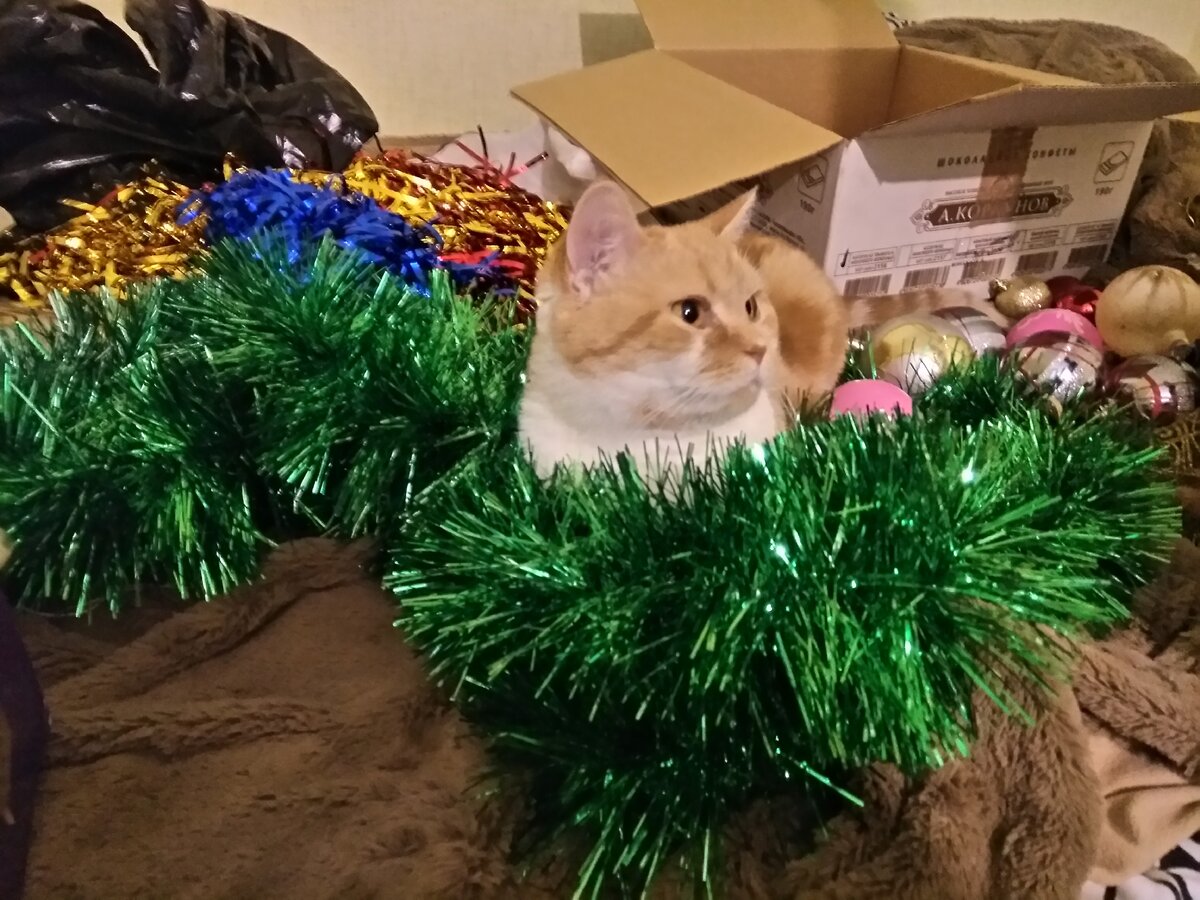 Апельсинка в гуще украшательских событий